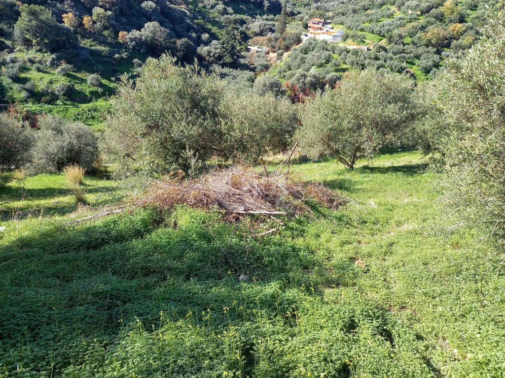 εικόνα αγγελίας