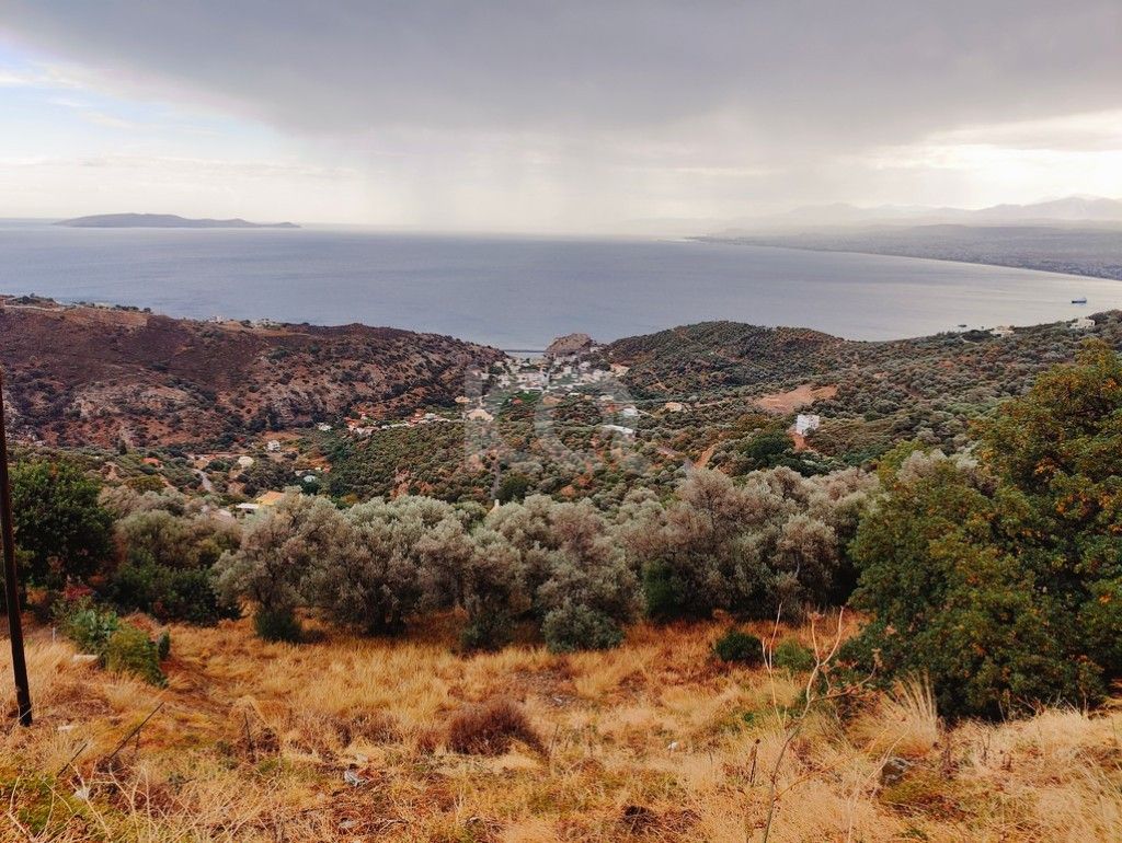 εικόνα αγγελίας