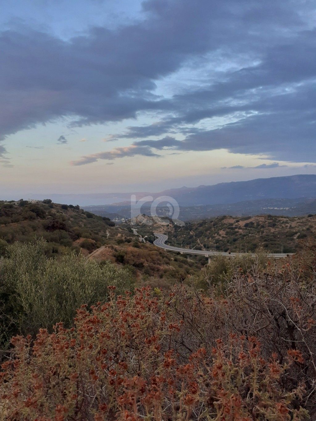 εικόνα αγγελίας