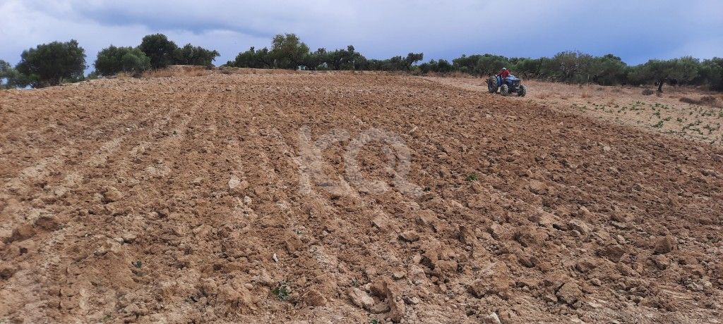 εικόνα αγγελίας