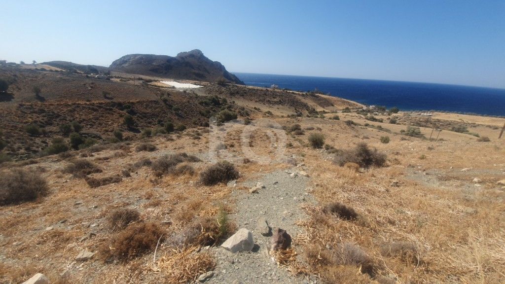 εικόνα αγγελίας