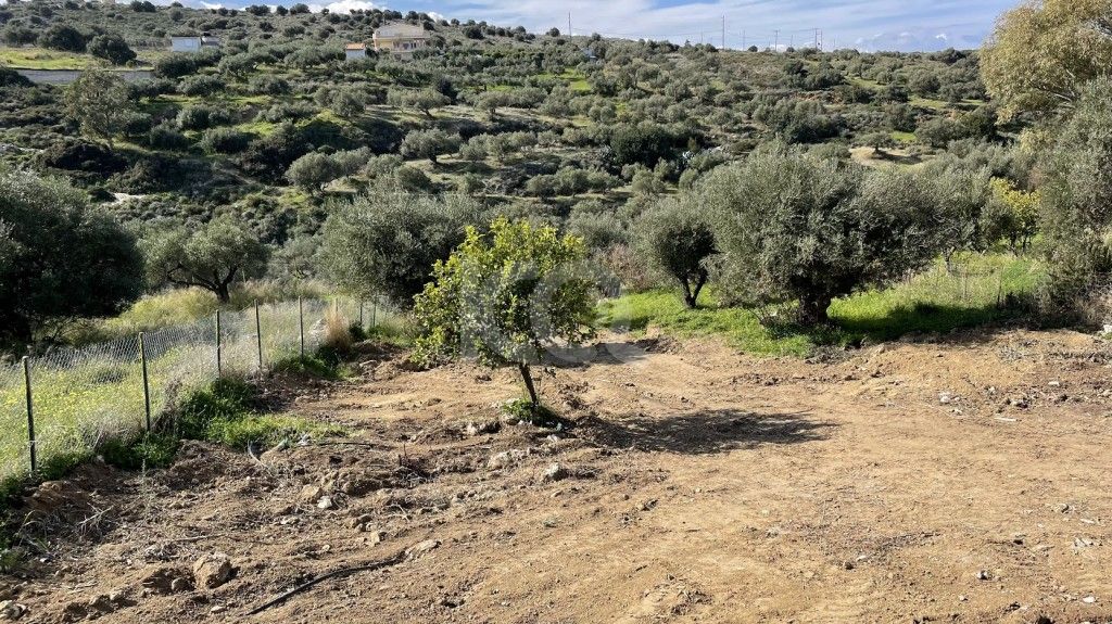 εικόνα αγγελίας