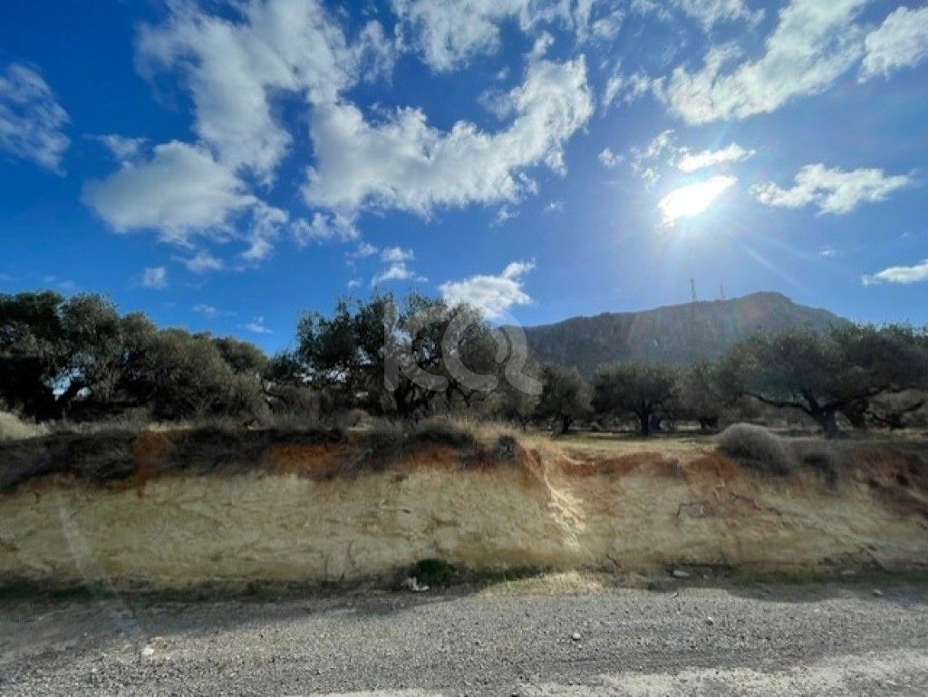 εικόνα αγγελίας