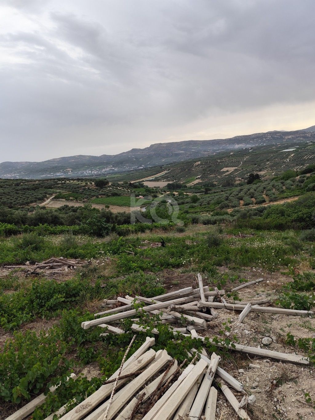 εικόνα αγγελίας