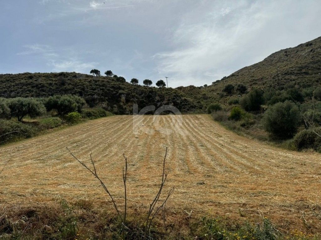 εικόνα αγγελίας