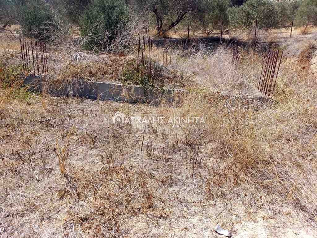 εικόνα αγγελίας