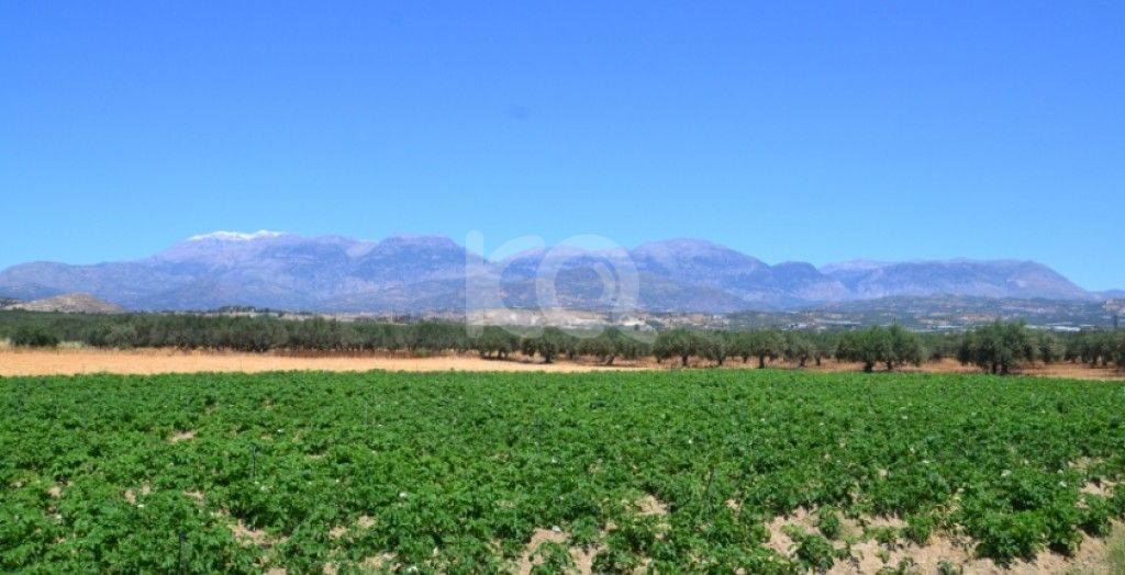 εικόνα αγγελίας