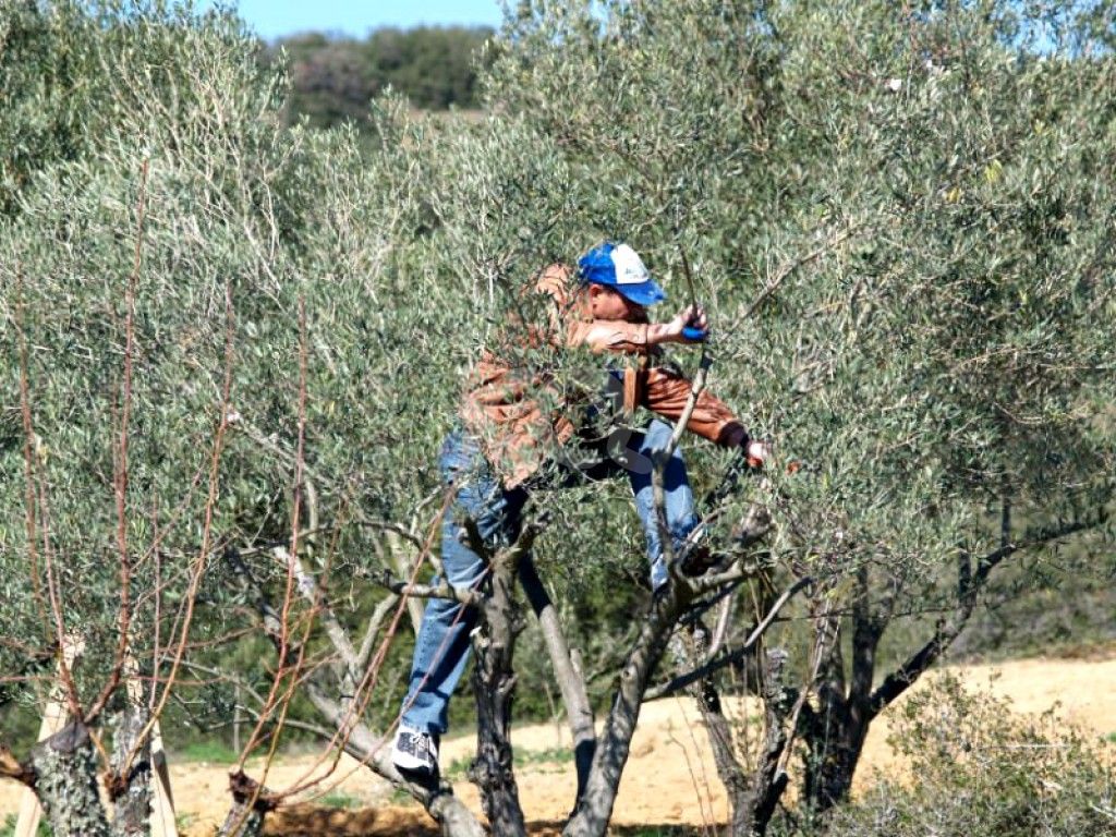 εικόνα αγγελίας